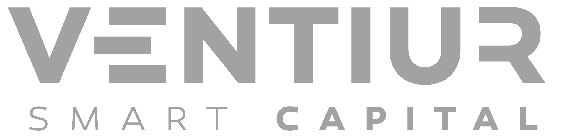 Logo Ventiur cinza